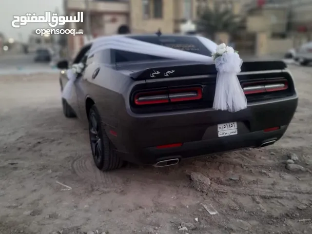 Used Dodge Challenger in Basra