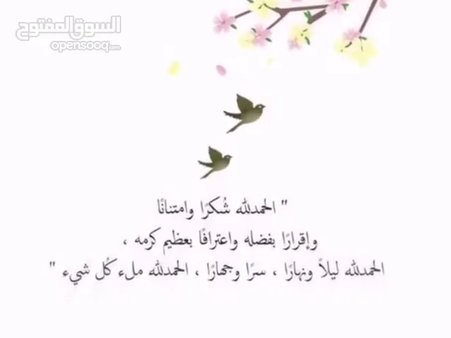 امال توفيق مصطفى أبو عمر