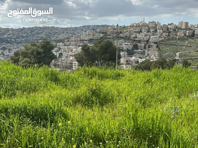 Residential Land for Sale in Salt Shafa Al-Amriya