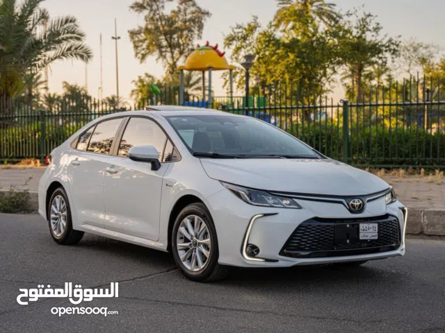 New Toyota Corolla in Baghdad