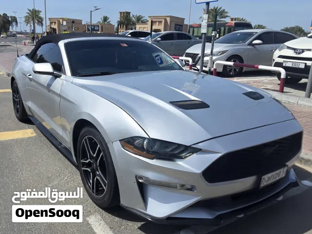 2019 فورد موستانج EcoBoost