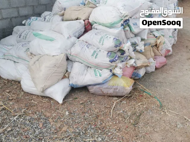 سماد بقر محلي