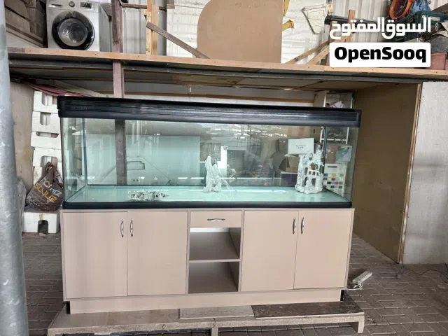 Aquarium / حوض سمك