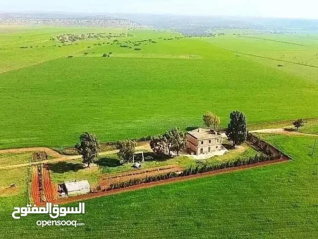 Commercial Land for Sale in Tripoli Al-Hashan