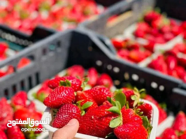 فراولة فرش ما شاء الله ربي يبارك