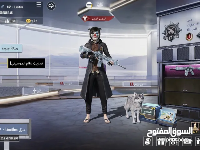 Pubg Accounts and Characters for Sale in Irbid