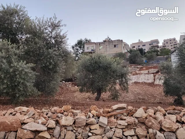 Mixed Use Land for Sale in Ramallah and Al-Bireh Kaubar