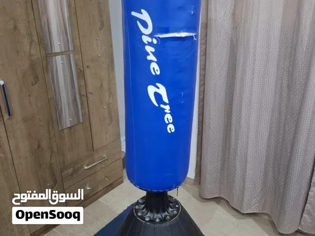 Standing Punching Bag