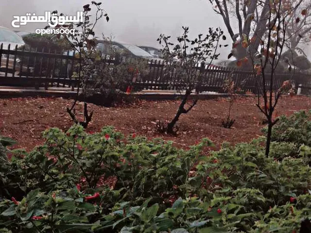 موجود حبش وجاج