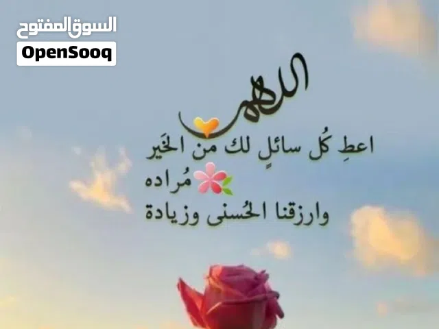 معلمه خصوصي رياضيات