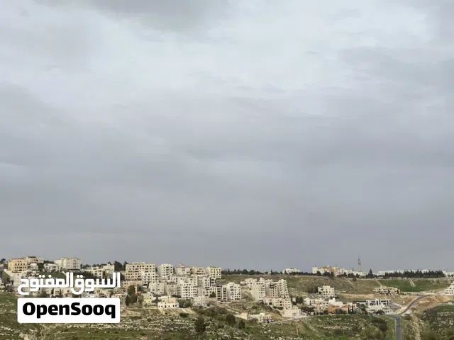 أرض للبيع في بدر الجديدة – حوض العمرية والفحص