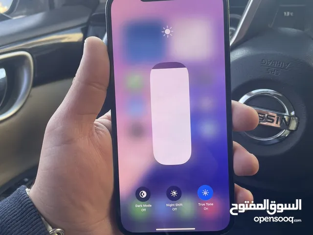 Apple iPhone 12 Pro Max 256 GB in Amman