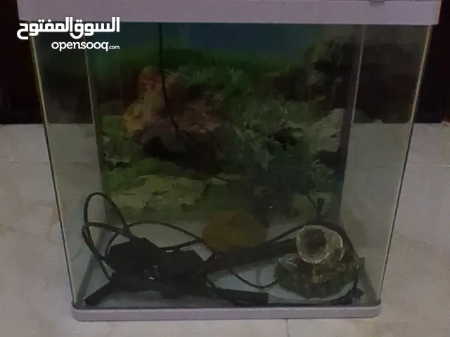 Fish Tank aquarium for sale !!!!!!!!! home decorative items