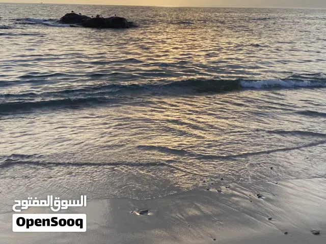 متوفر توين فيلا للايجار في موسم الخريف