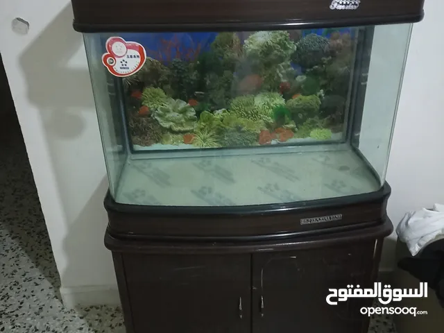 حوض سمك مستعمل