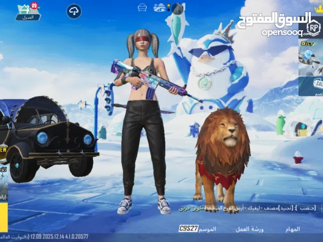 Pubg Accounts and Characters for Sale in Qasr Al-Akhiar