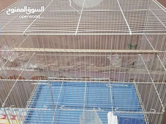 قفص طيور جديد
