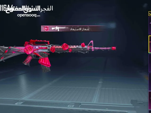 Pubg Accounts and Characters for Sale in Amman