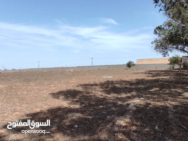 Farm Land for Rent in Tripoli Tajura