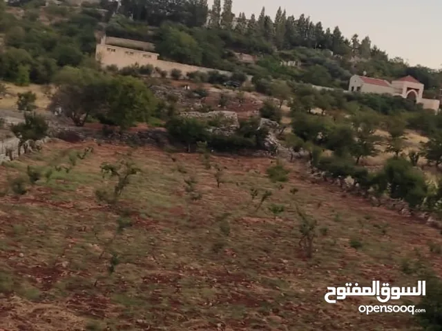 أرض للبيع في عجلون