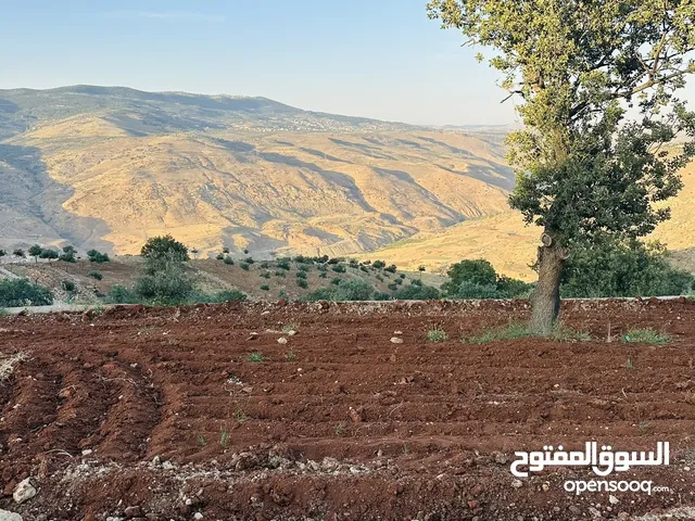 أرض مميزه _الصبيحي _ بيوضه الشماليه