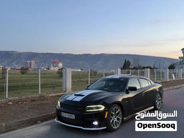 Used Dodge Charger in Babylon