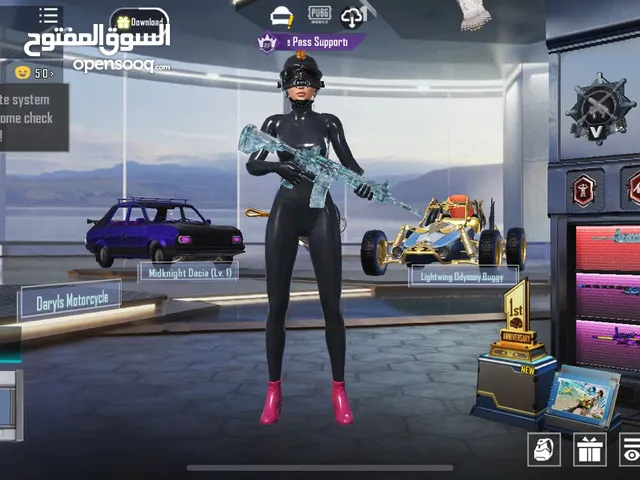 Pubg Accounts and Characters for Sale in Salt