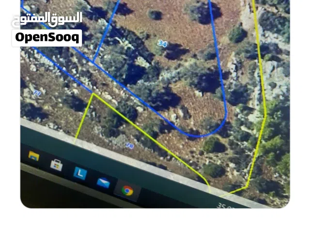 ارض طابو في كفر نعمة