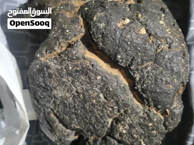 عنبر الحوت اسود كميه كويسه