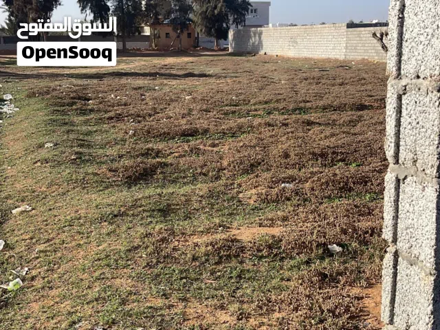 Residential Land for Sale in Misrata Tamina