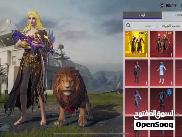Pubg Accounts and Characters for Sale in Tripoli