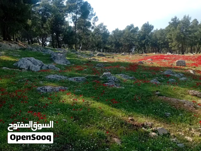 Mixed Use Land for Sale in Jerash Al-Mastaba
