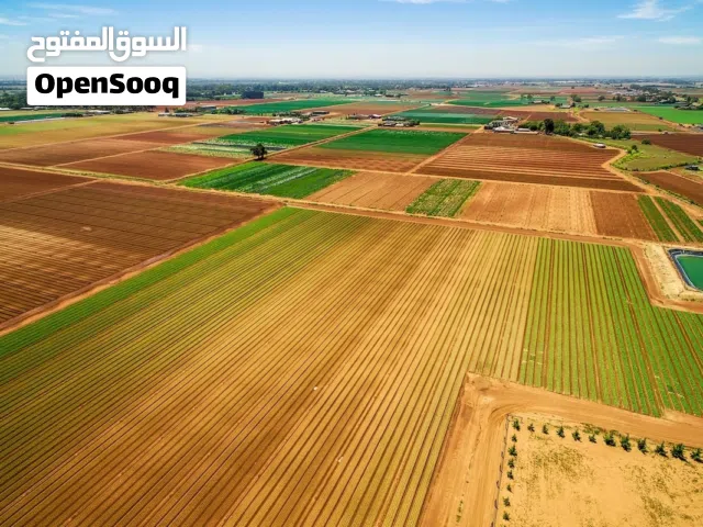 Farm Land for Sale in Wasit Kut