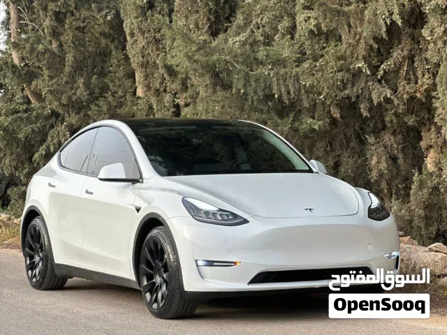 Used Tesla Model Y in Amman
