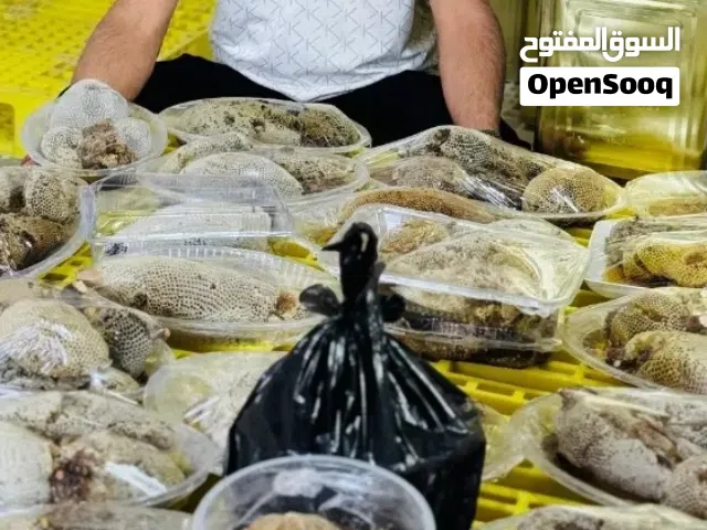 عسل طبيعي من الجبال – نقي ومضمون