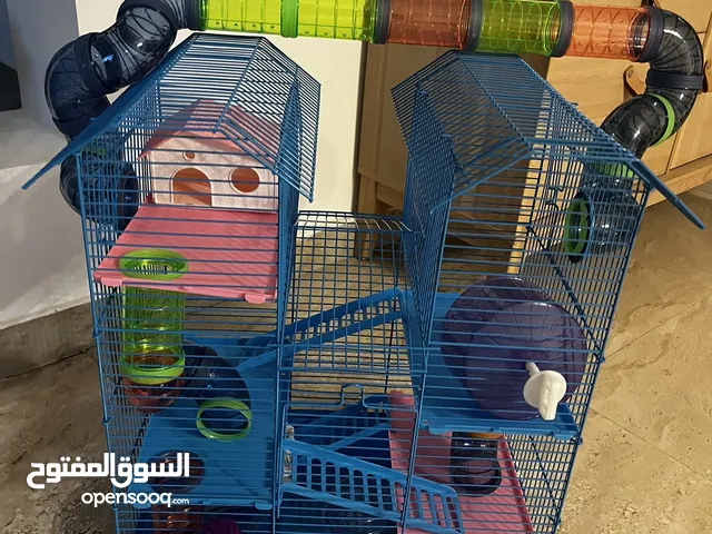 قفص همستر جديد