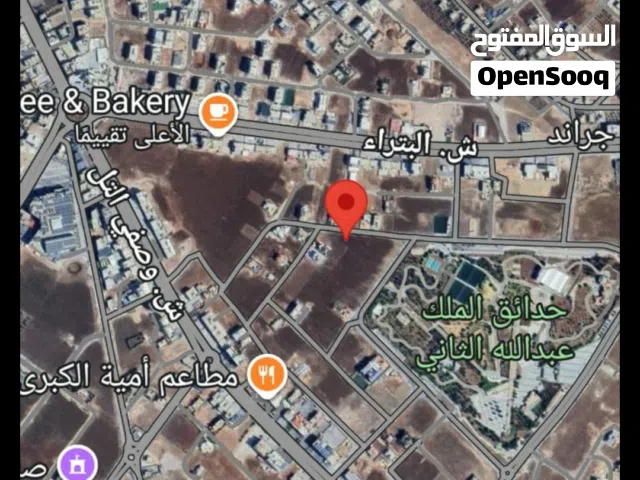 قطعتين ارض للبيع  غرب حدائق الملك عبد الله اراضي ايدون  بشرى شرق شارع عمان ودوار الشهيدمعاذالكساسبه