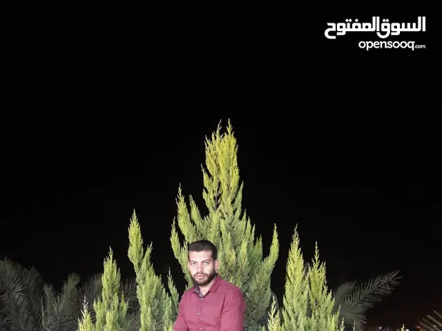 mohammad alqessi