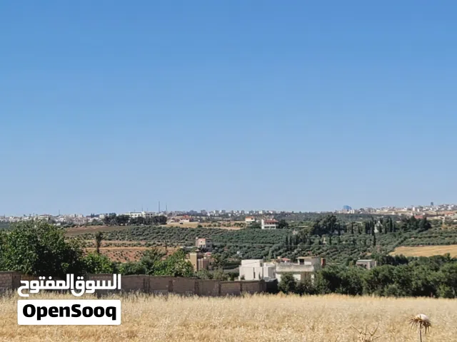 أرض للبيع ناعور بيت زرعة