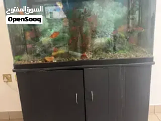 حوض سمك مع الطاولة