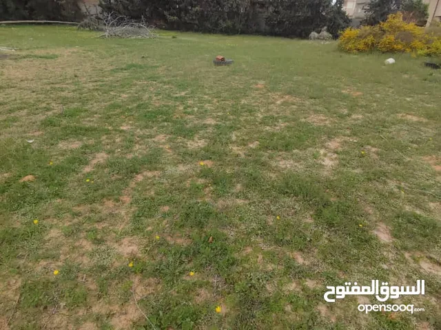 Residential Land for Sale in Tripoli Ain Zara