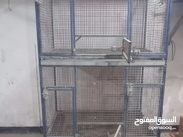 للبيع قفص للطيور الكبيرة والصغيرة