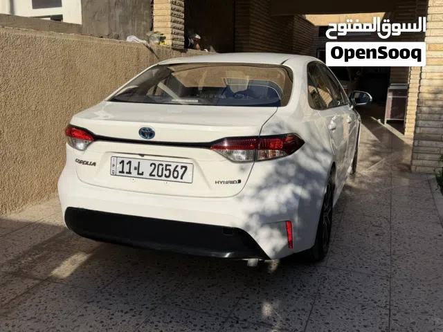 كورلا هايبرد خليجي تجميع الصين شكل الصيني موديل 2024 رقم بغداد باسمي