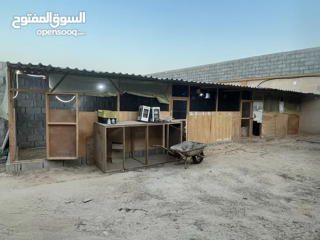 حضيرة دجاج او عصافير للبيع مساحه 2x12