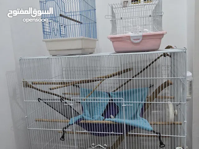للسناجب والطيور قفص رئيسي كبير واثنان إضافيين مجانا + أطباق للأكل و للأقفاص + معلق مياه+ألعاب وسرير