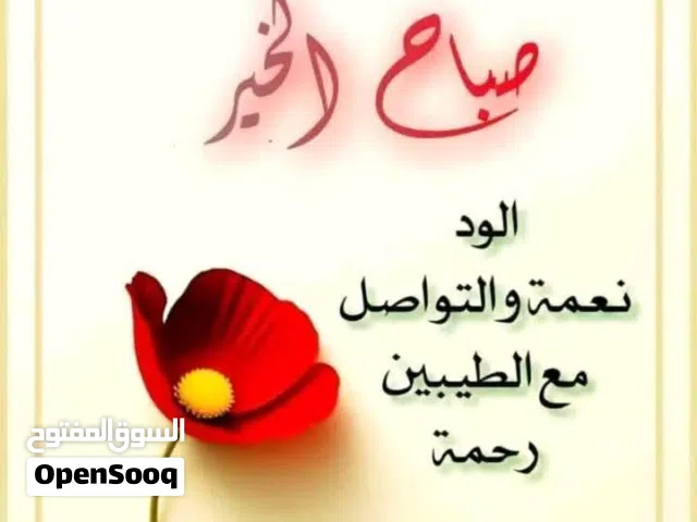 مطلوب شاشة 55 بوصة سمارت