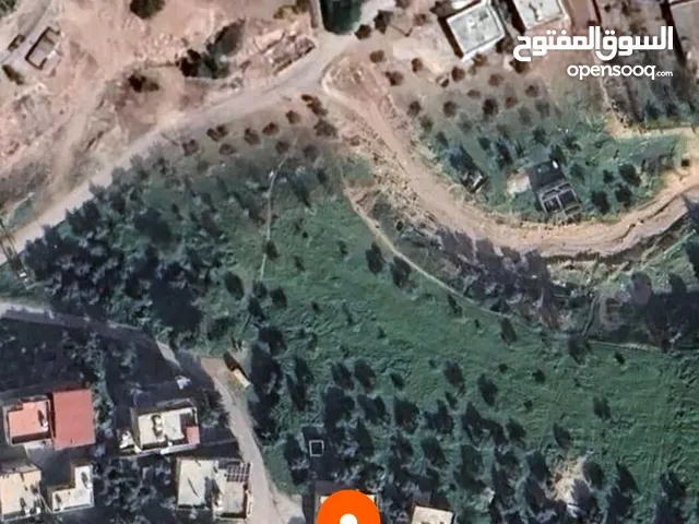 اراضي الاغوار الشماليه كريمه خمس دونمات 85000 والشره ما بقصر معه
