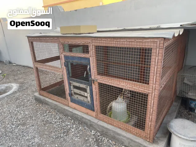 قفاص للبيع .....