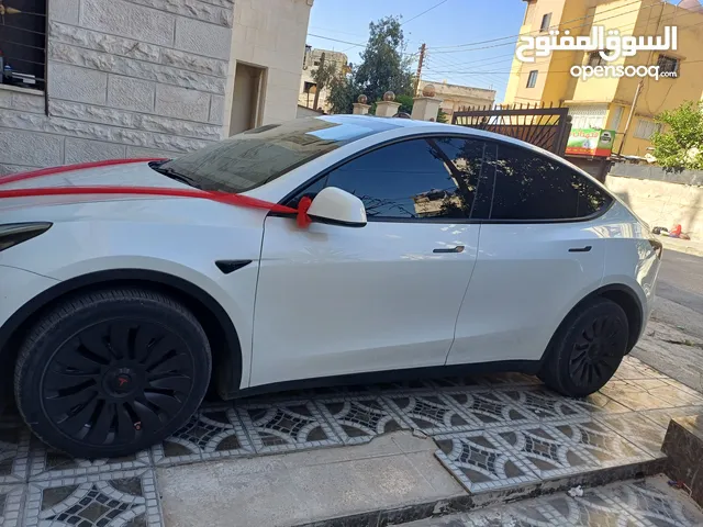 Used Tesla Model Y in Amman