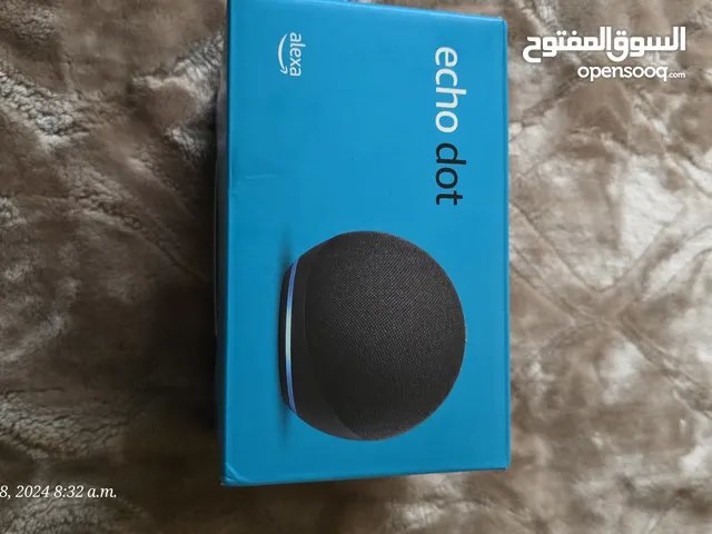Amazon Echo Dot